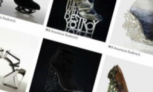 В «Эрарте» покажут дизайнерскую обувь будущего