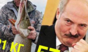 Путин и Лукашенко обсудят перспективы российской авиабазы