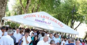 Ярмарка труда в Азербайджане превратилась в акцию протеста безработных