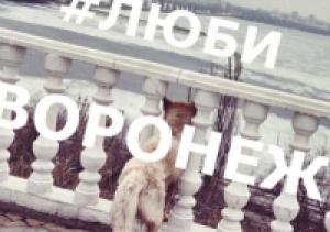 В подборку лучших фото Воронежа за неделю вошли работы американца