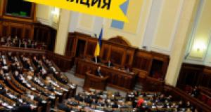 Украинские националисты заявили, что непричастны к погромам в Киеве
