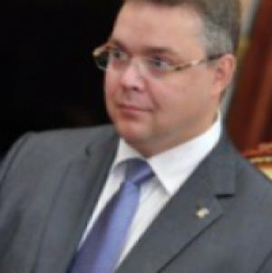 Владимир Владимиров предложил сократить число депутатов краевой Думы