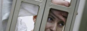 Вера Савченко призвала фракции взять на себя финансирование адвокатов политзаключенных