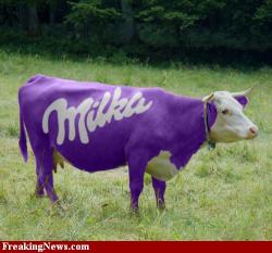 Milka-Cow--25254.jpg