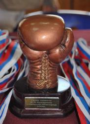 XXIII-й традиционный Всероссийский турнир по боксу памяти Ф. А. Бокарёва