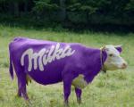 Milka-Cow--25254.jpg