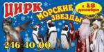 Новогоднее представление «МОРСКИЕ ЗВЕЗДЫ», Нижегородский цирк, новогодние представления для детей, с детьми