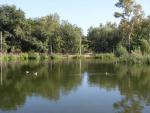 Сормовский парк приглашает отдохнуть на природу не выезжая за город, парки